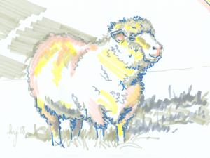 The Sunday Art Show - 10 Minute Sheep Drawing Tutorial - Real Time 